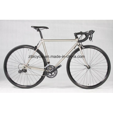 4130 Chromoly Road Bicycle